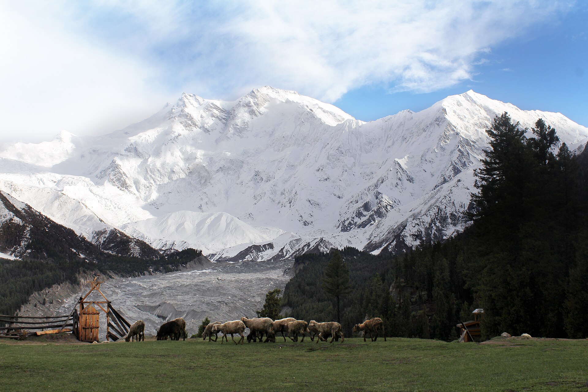 Fairy Meadows